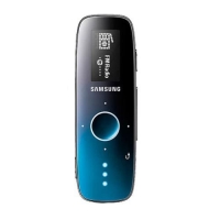 Samsung YP-U4QB 2 Gb, Blue артикул 865d.